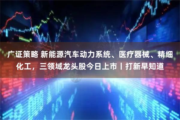 广证策略 新能源汽车动力系统、医疗器械、精细化工,三领域龙头股今日上市丨打新早知道