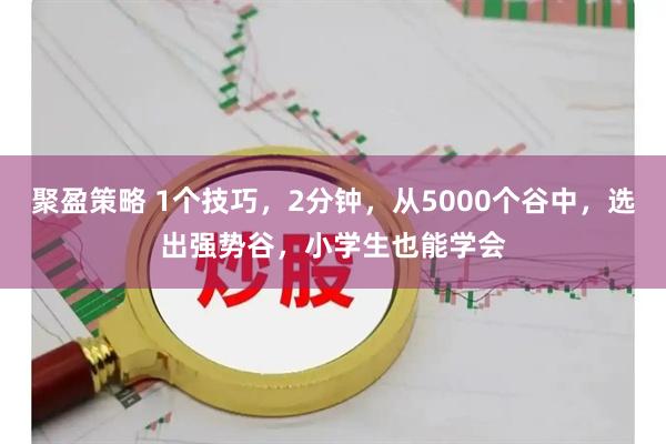 聚盈策略 1个技巧，2分钟，从5000个谷中，选出强势谷，小学生也能学会