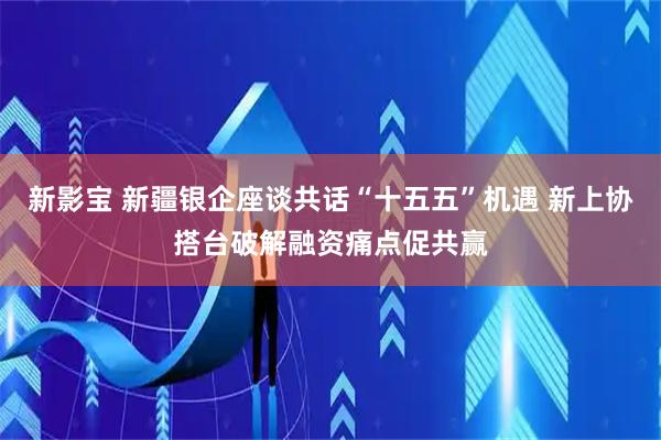 新影宝 新疆银企座谈共话“十五五”机遇 新上协搭台破解融资痛点促共赢