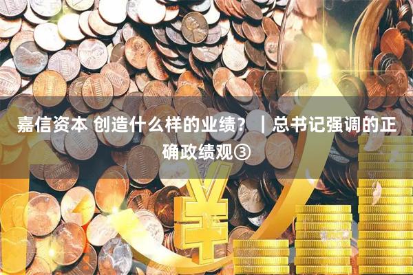 嘉信资本 创造什么样的业绩？｜总书记强调的正确政绩观③