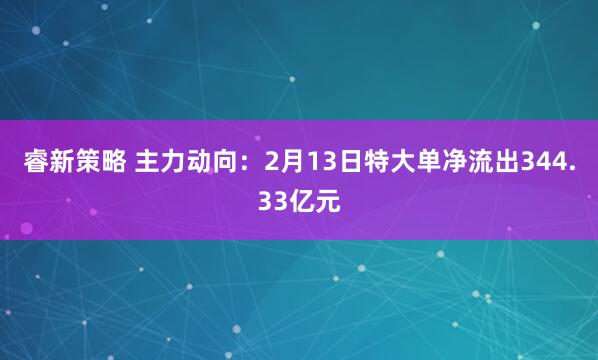 睿新策略 主力动向：2月13日特大单净流出344.33亿元