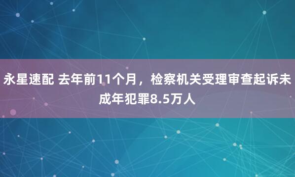 永星速配 去年前11个月，检察机关受理审查起诉未成年犯罪8.5万人