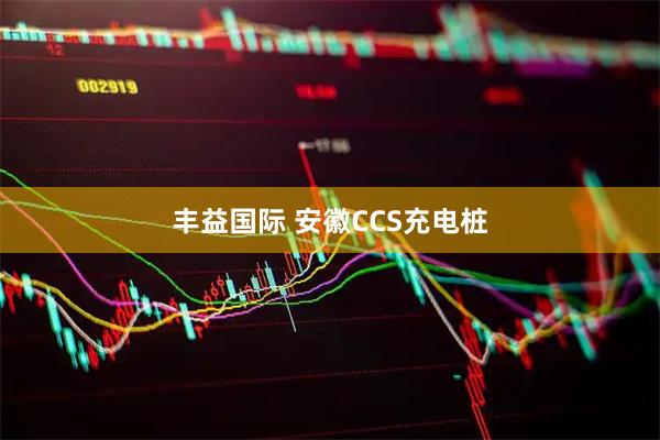 丰益国际 安徽CCS充电桩
