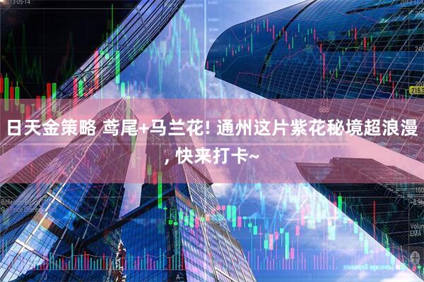 日天金策略 鸢尾+马兰花! 通州这片紫花秘境超浪漫, 快来打卡~